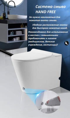 Унитаз DISGRAZIA Pulse приставной с функцией импульсного смыва Ceruttispa CT7269 - купить в интернет-магазине Sun-buy
