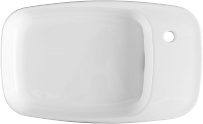Раковина накладная Allen Brau Liberty 4.32012.20 белый - купить в интернет-магазине Sun-buy
