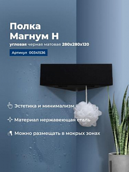 Полка Aquanet Магнум Н 28x28 черная матовая, угловая 00341536 - купить в интернет-магазине Sun-buy