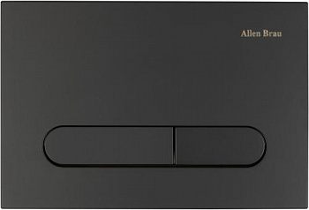 Клавиша смыва Allen Brau Project Color 9.2PR01.31 черный матовый - купить в интернет-магазине Sun-buy