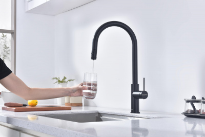Смеситель для кухни Galant, антрацит, Ga213077-AN, Paulmark - купить в интернет-магазине Sun-buy