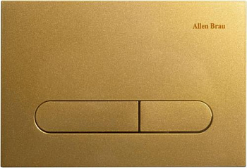 Клавиша смыва Allen Brau Project Color 9.2PR01.GD золотой - купить в интернет-магазине Sun-buy