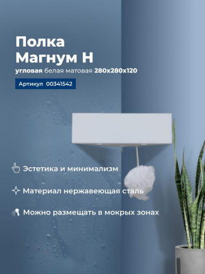Полка Aquanet Магнум Н 28x28 белая матовая, угловая 00341542 - купить в интернет-магазине Sun-buy
