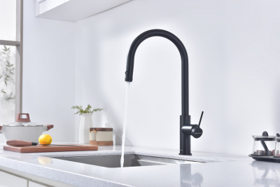 Смеситель для кухни Galant, антрацит, Ga213077-AN, Paulmark - купить в интернет-магазине Sun-buy