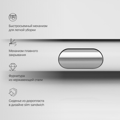 C851701SC X-Joy подвесной унитаз FlashClean с сиденьем микролифт - купить в интернет-магазине Sun-buy