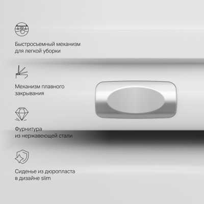 C701700SC Spirit V2.0 подвесной унитаз FlashClean с сиденьем микролифт - купить в интернет-магазине Sun-buy